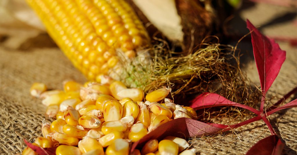 2017 Corn Yield